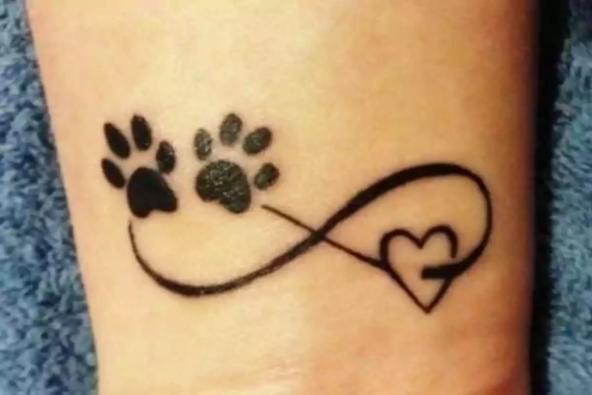 Foto detalle de un tatuaje con el símbolo de infinito dedicado a un perro con unas huellas y un corazón Foto detalle de un tatuaje con el símbolo de infinito dedicado a un perro con unas huellas y un corazón