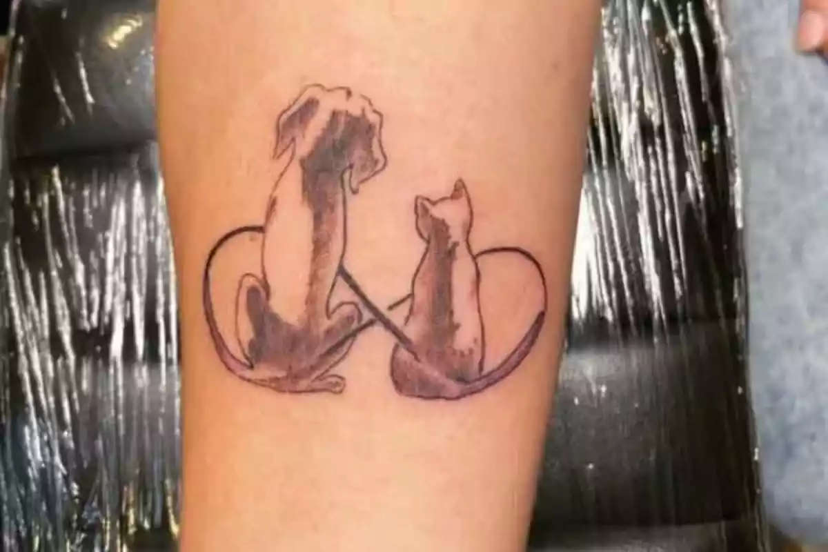 Foto detalle de un tatuaje con el símbolo de infinito y con la imagen de un perro y un gato de espaldas Foto detalle de un tatuaje con el símbolo de infinito y con la imagen de un perro y un gato de espaldas