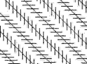 La típica ilusión de las rectas que no parecen paralelas.