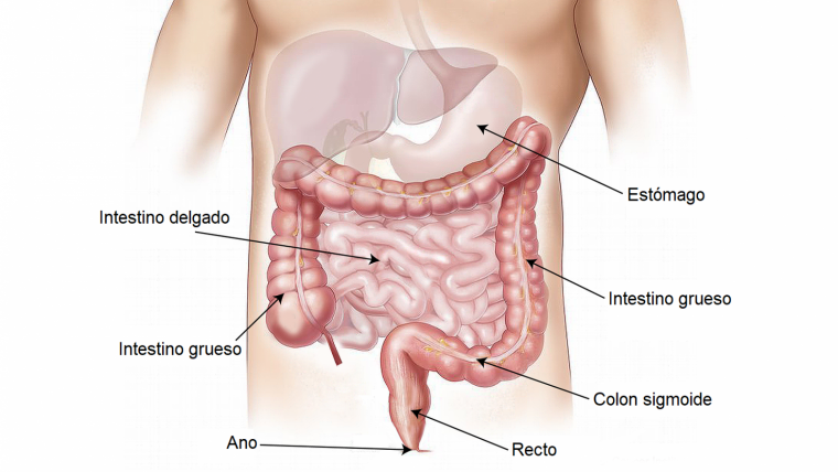 dolor de ano al defecar en niños