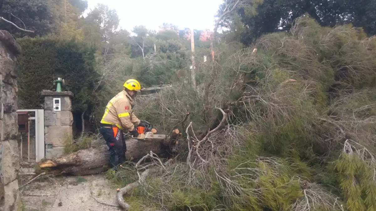 Temporal 21 Ferits Un De Greu Pel Fort Vent A Catalunya