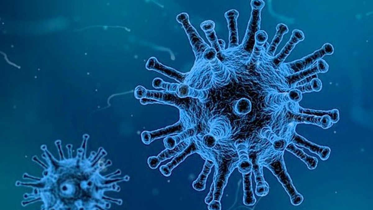 Yaravirus el nuevo virus desconocido que desconcierta a los científicos