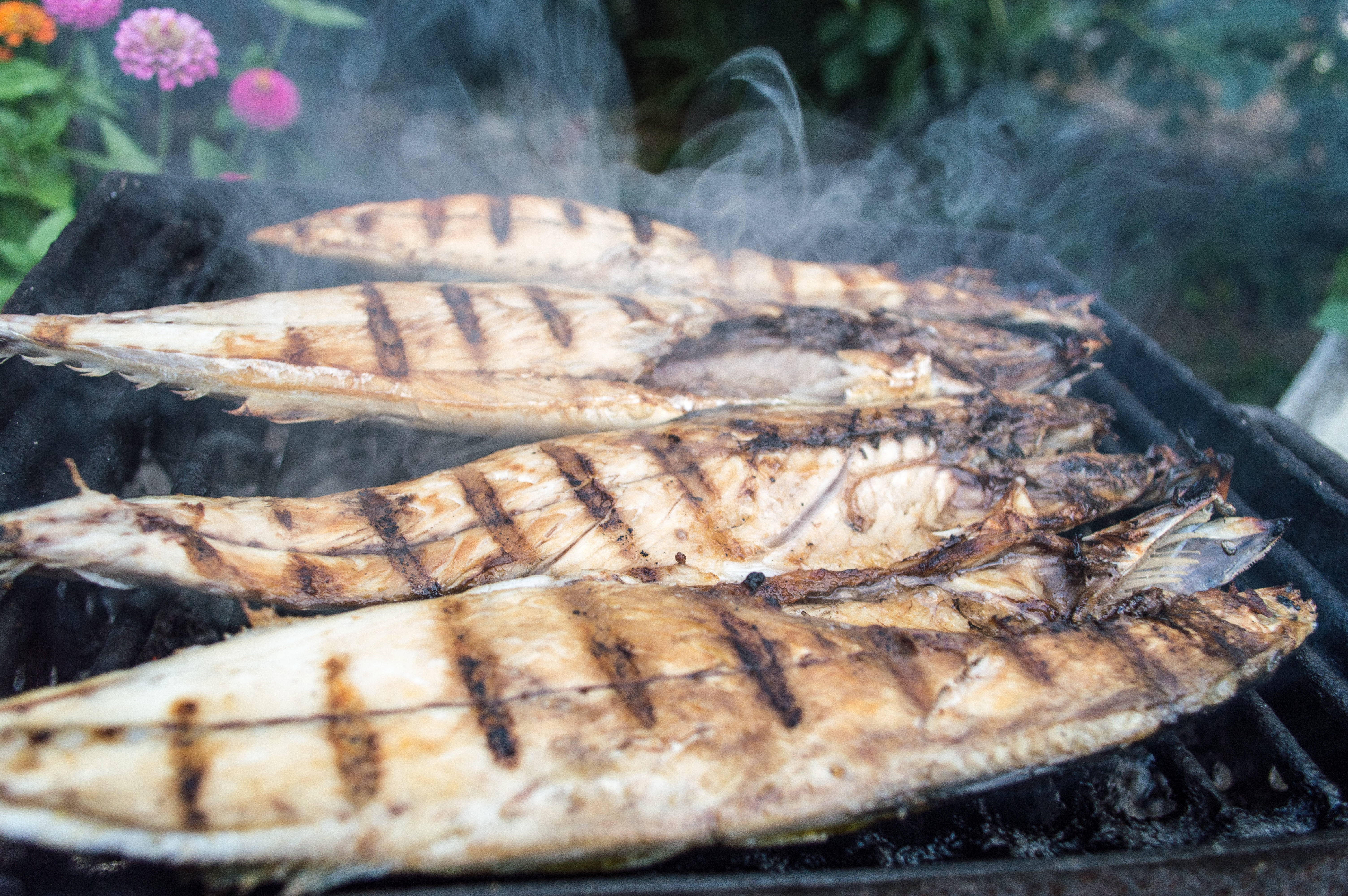 Grilled fish with brown rice