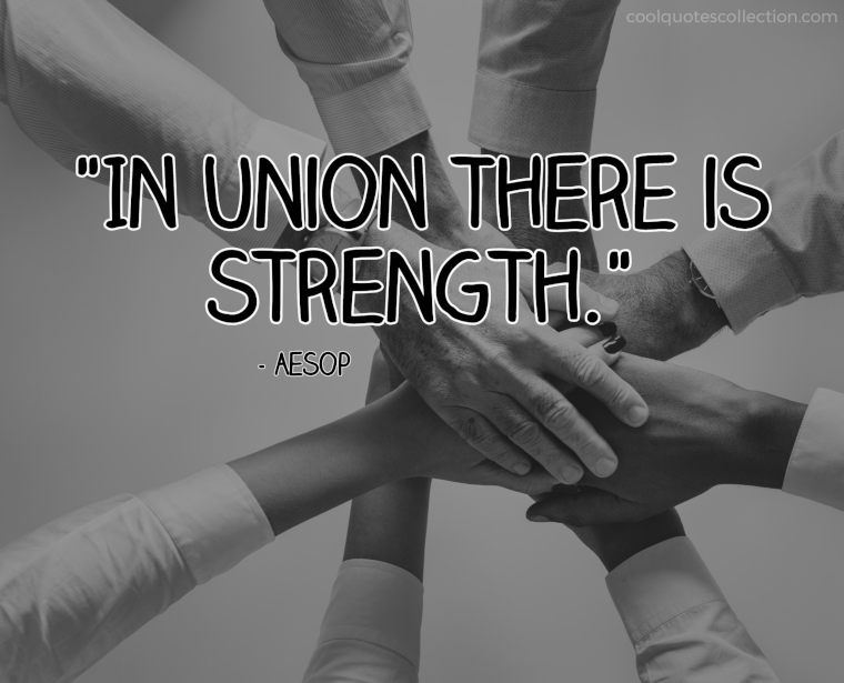 Teamwork Picture Quotes - "In union there is strength."