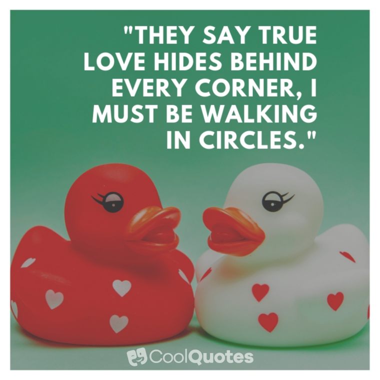 Funny Love Quotes Images - "They say true love hides behind every corner, I must be walking in circles."