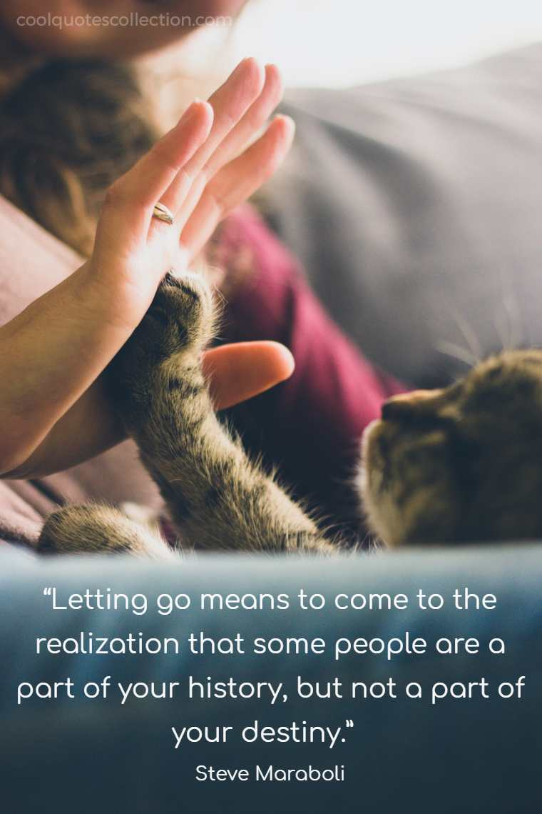 Happy Picture Quotes - “Letting go means to come to the realization that some people are a part of your history, but not a part of your destiny.”