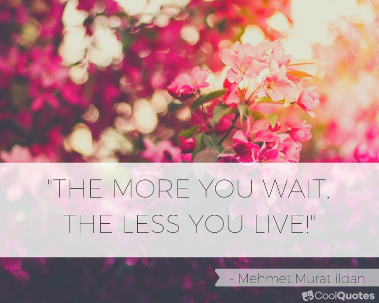 Live Life Picture Quotes - "The more you wait, the less you live!"