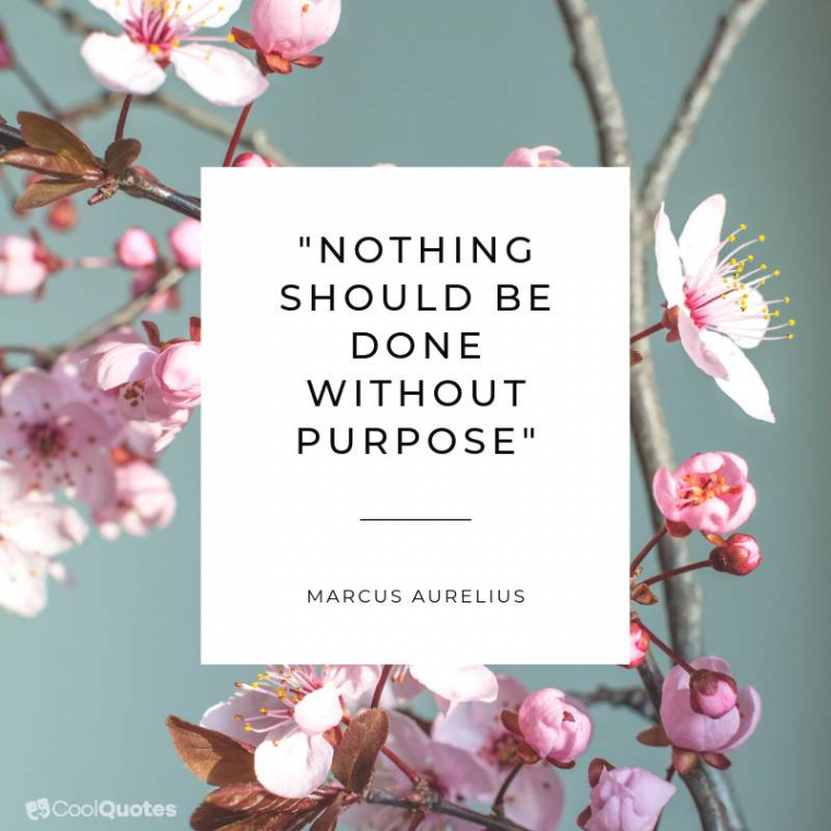 Marcus Aurelius Picture Quotes - "Nothing should be done without purpose."