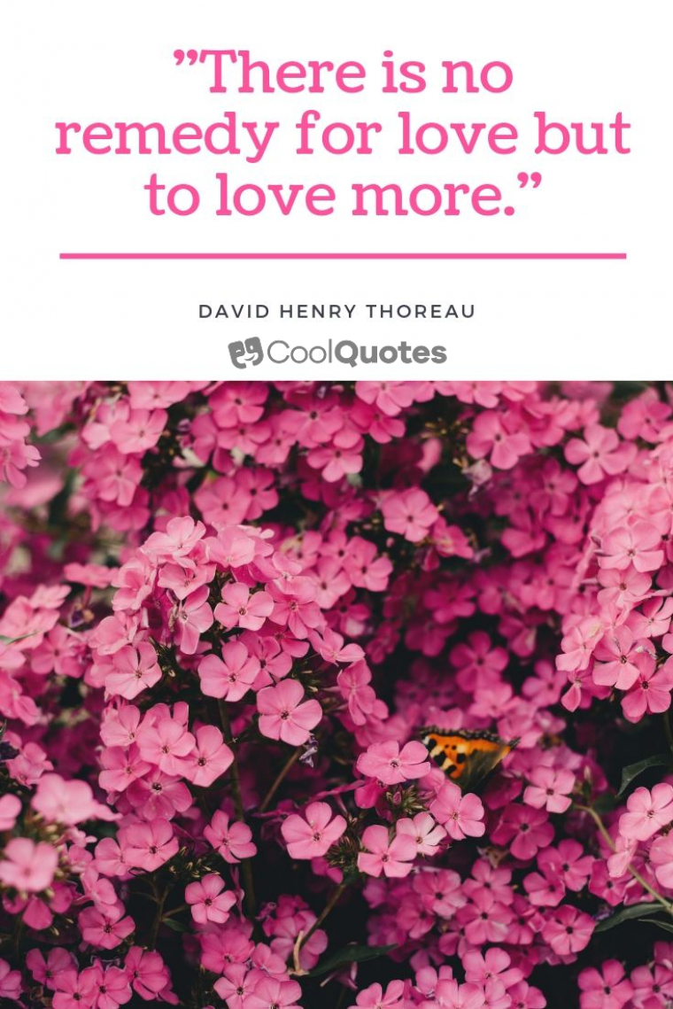 True Love Picture Quotes - "There is no remedy for love but to love more."