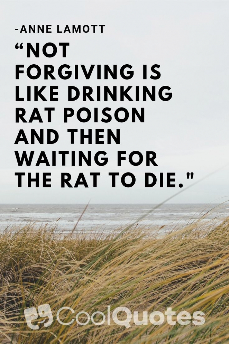 Revenge picture quotes - “Not forgiving is like drinking rat poison and then waiting for the rat to die."