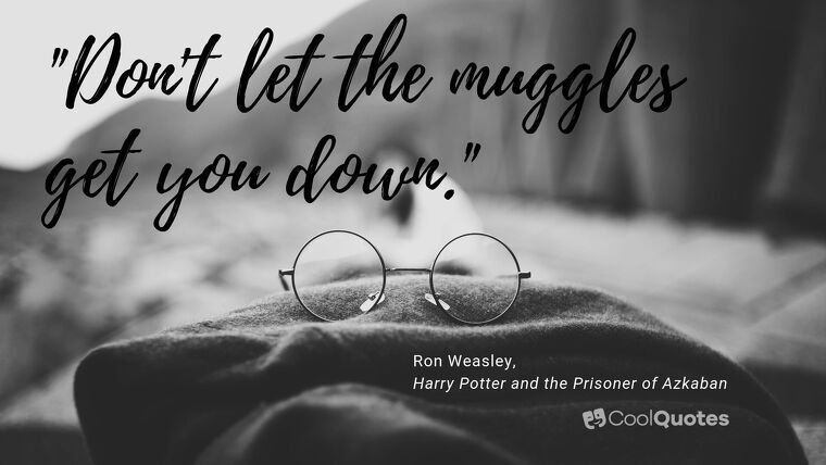 Harry Potter Picture Quotes - "Don't let the muggles get you down."