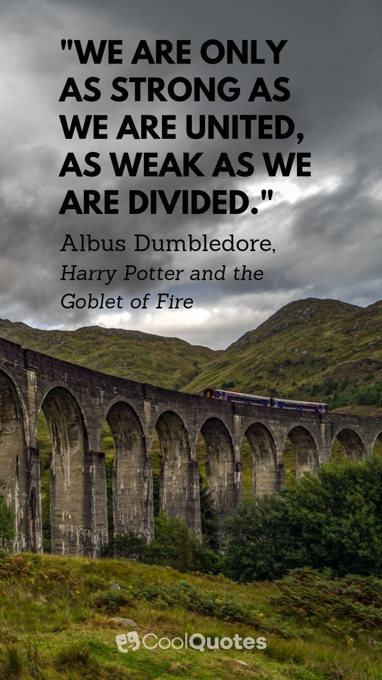 Harry Potter Picture Quotes - "We are only as strong as we are united, as weak as we are divided."