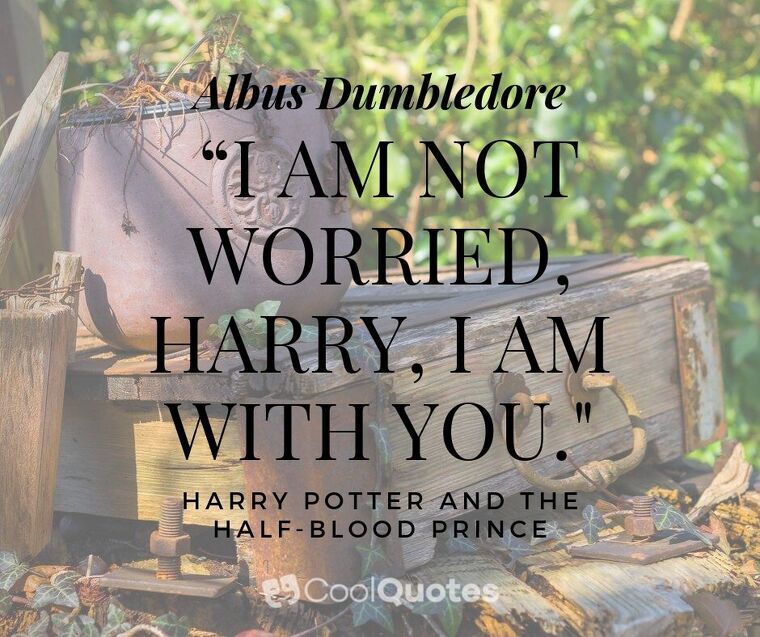 Harry Potter Picture Quotes - “I am not worried, Harry, I am with you."
