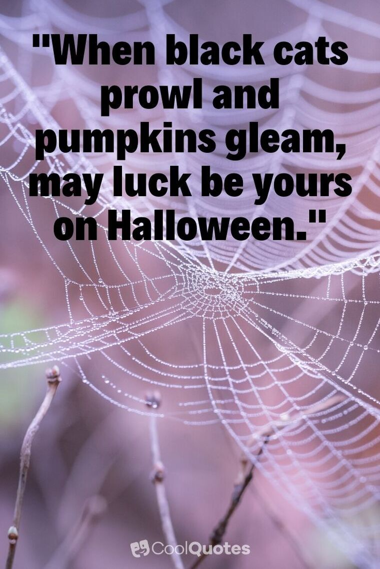 Halloween Picture Quotes - "When black cats prowl and pumpkins gleam, may luck be yours on Halloween."
