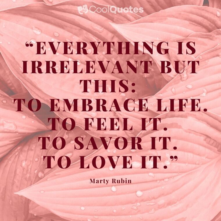 Love Life Picture Quotes - “Everything is irrelevant but this: to embrace life. To feel it. To savor it. To love it.”