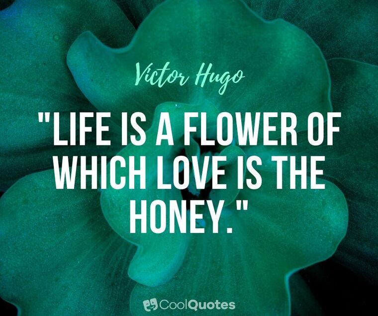Love Life Picture Quotes - "Life is a flower of which love is the honey."